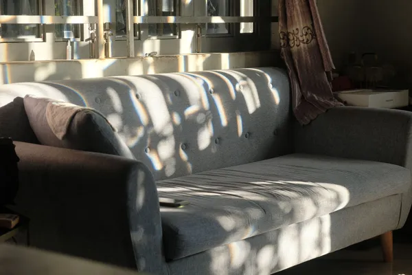 Modern gray sofa in a sunlit living room showcasing elegant interior design.